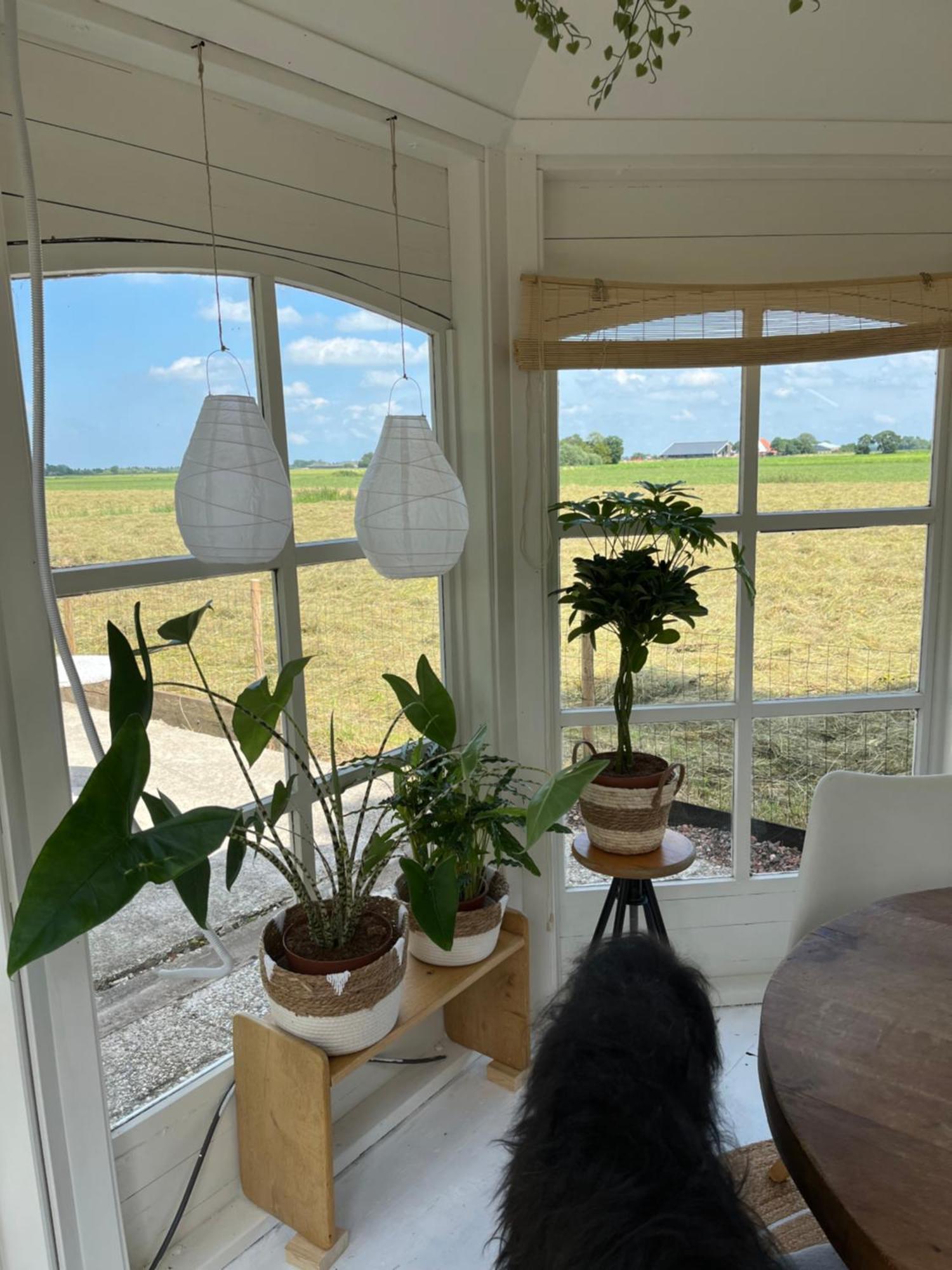 By Mosk Bed & Breakfast Engelum Bagian luar foto